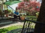 Mann sitzt entspannt im sonnigen Garten vor einem Wohnhaus, umgeben von Pflanzen, Bäumen und ruhiger Atmosphäre.