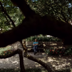 Eine Person sitzt entspannt auf einer Parkbank in einem üppig begrünten Garten und blickt nach oben in die Baumkronen. Dunkle Äste im Vordergrund rahmen die Szene ein und lenken den Blick auf die von Sonnenlicht und Schatten durchzogene, ruhige Atmosphäre.