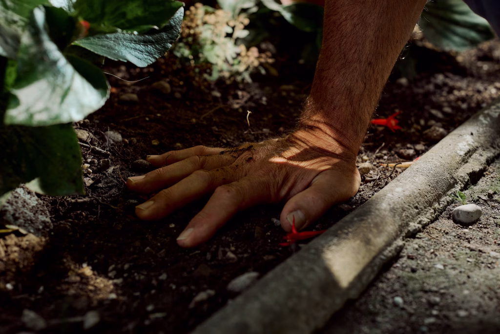 Nahaufnahme einer Hand, die sich auf lockere Erde zwischen Pflanzen stützt. Sonnenlicht fällt durch die Blätter und erzeugt ein Spiel aus Licht und Schatten, während kleine rote Blüten den natürlichen Eindruck der Gartenszene ergänzen.