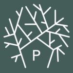 Profilbild von PARAMUS Asset Management & Finanzplanung